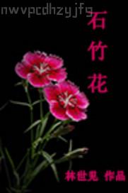 成人動(dòng)畫片倫理片